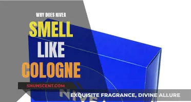 The Nivea Scent: Cologne or Not?