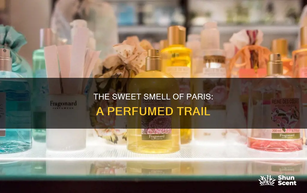why does paris smell like perfume