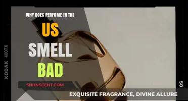 The Stink of American Perfume: Why the Smell?