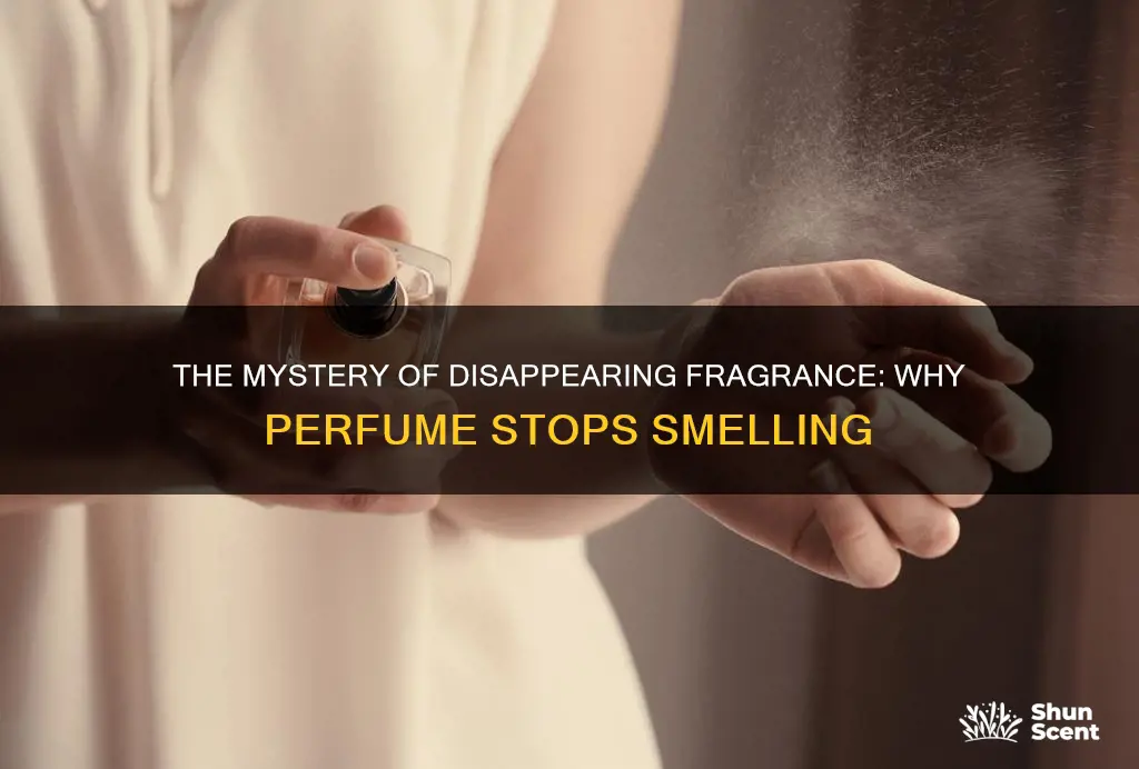 why does perfume stop smelling