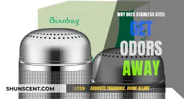 Freshen Up Your Kitchen: The Odor-Absorbing Magic of Stainless Steel