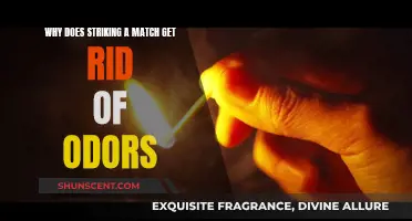 The Science Behind Matches: How Striking One Can Eliminate Odors
