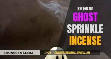 The Ghost's Incense Ritual: A Spiritual Cleansing