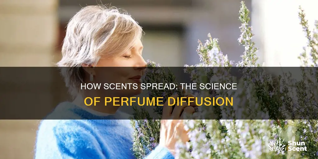 why does the smell of perfume spread in a room