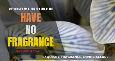 Aloha Lily Leia: Fragrance-Free Mystery