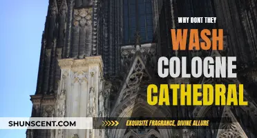 The Darkened Cologne Cathedral: Why No Wash?