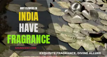 The Fragrance of Indian Flowers: A Cultural Mystery