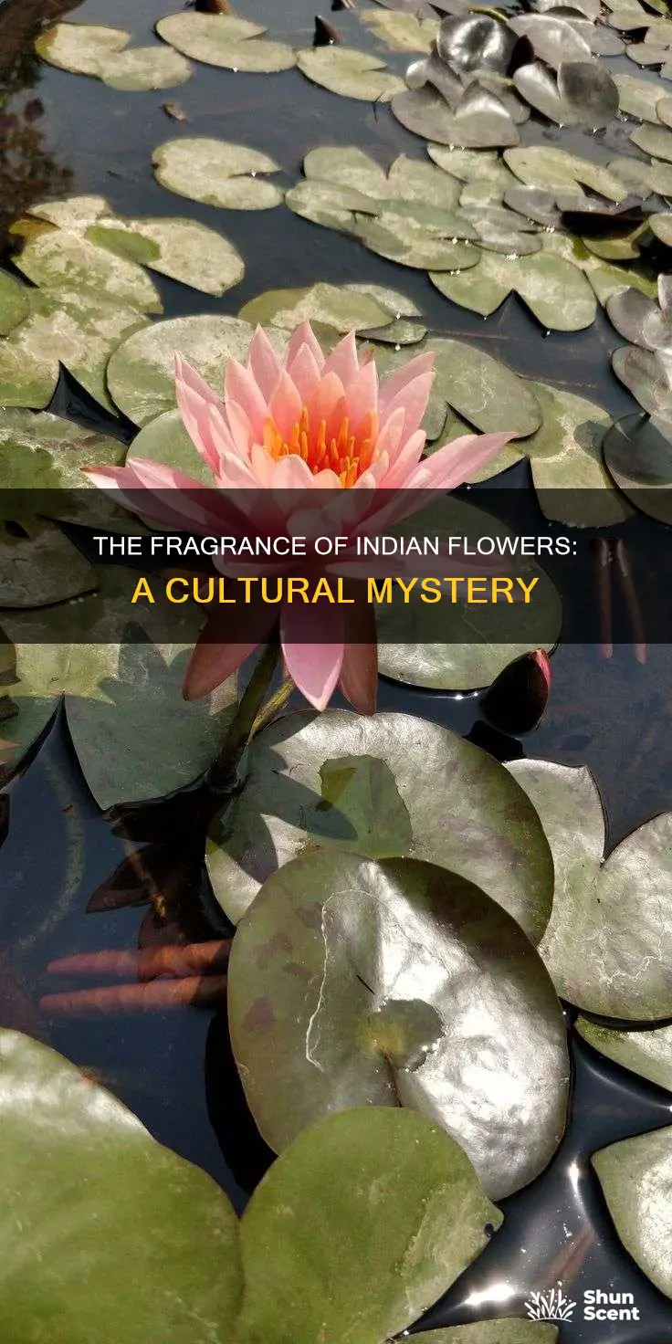 why flowers in india have fragrance