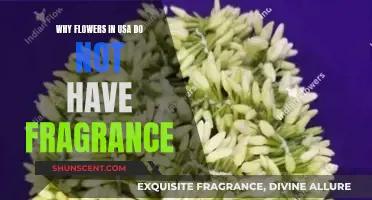 Flowers Without Fragrance: America's Unique Floral Scentless Story