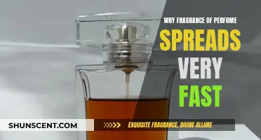The Magical Science Behind Fragrances Spreading Swiftly