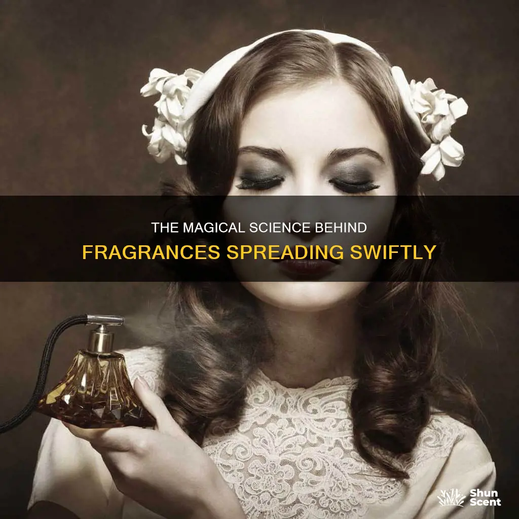 why fragrance of perfume spreads very fast