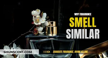 The Art of Fragrance: Why Do Scents Smell Similar?
