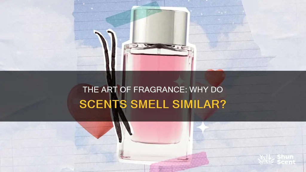 why fragrance smell similar