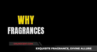 Fragrances: Elevating Your Mood and Enhancing Your Style