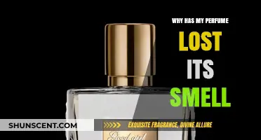 Perfume: Why Does the Scent Disappear?