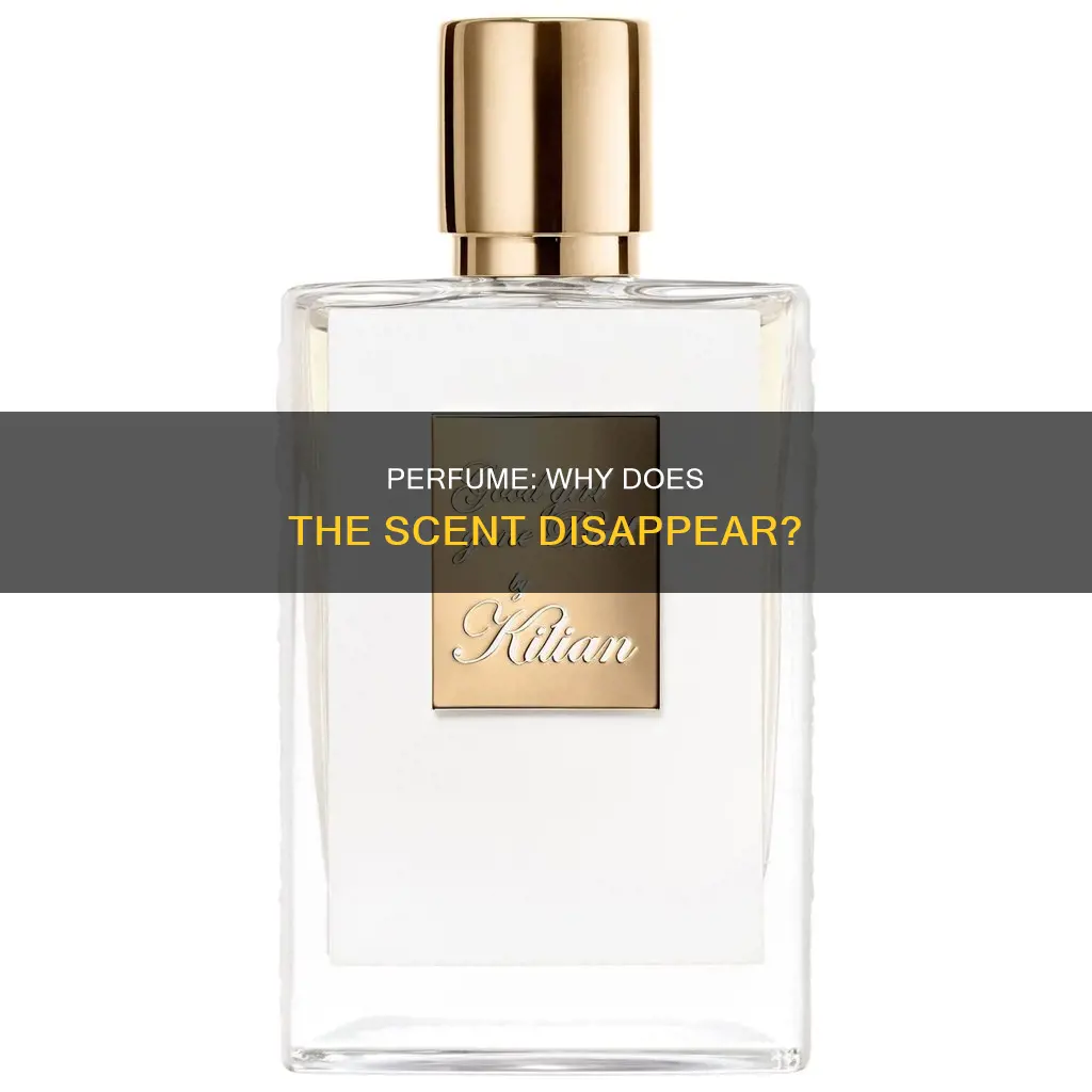 why has my perfume lost its smell