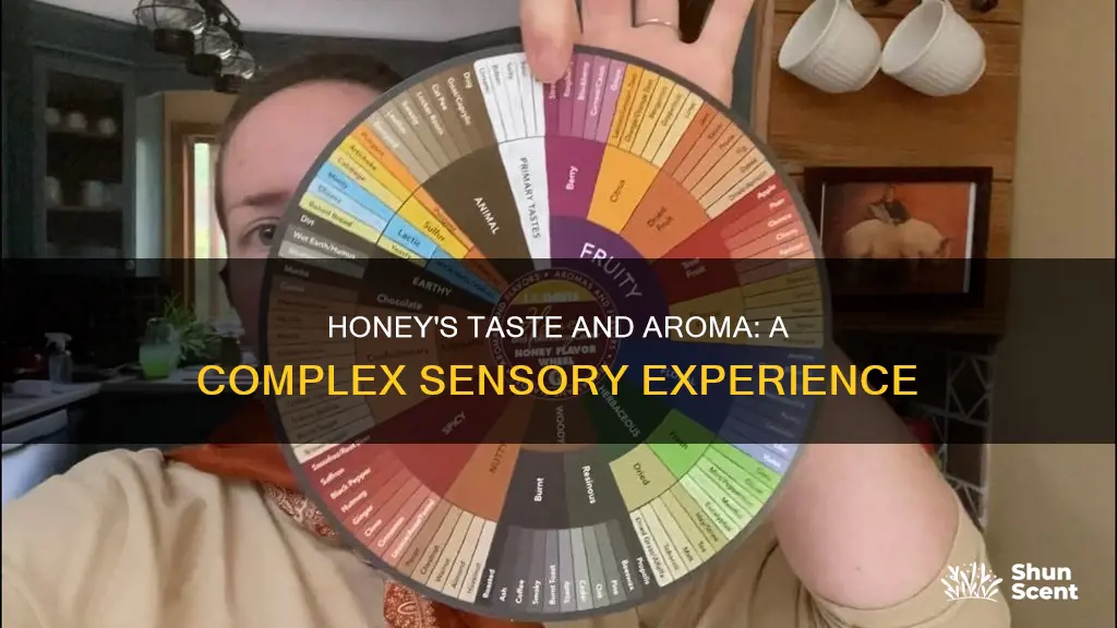 why honey taste and aroma wheel