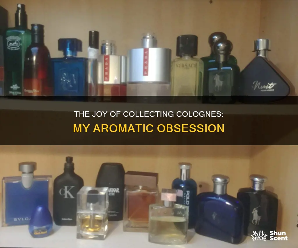 why i love collexting colognes