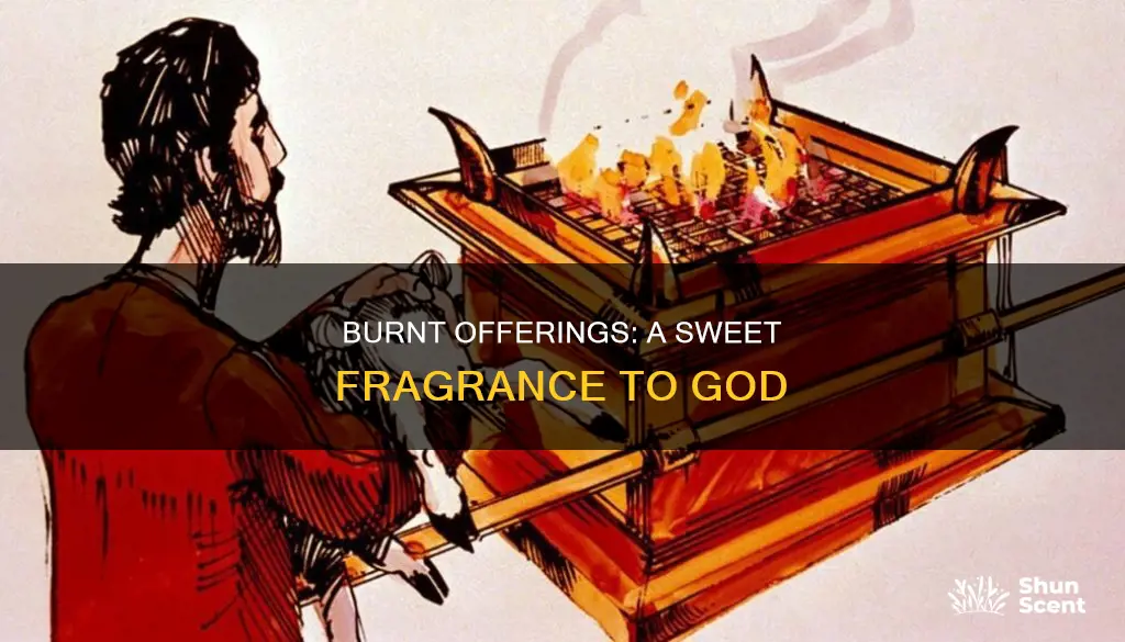 why is a burnt offering a pleasing aroma to god