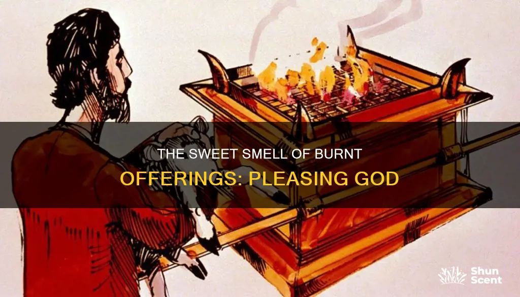 why is a burnt offering a pleasing aroma