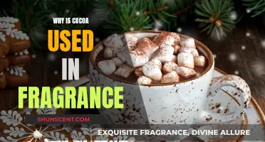Cocoa: The Sweet, Sensual Fragrance Note