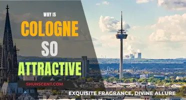 The Allure of Cologne: Unraveling the Attraction