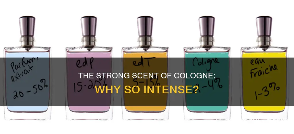 why is cologne so strong