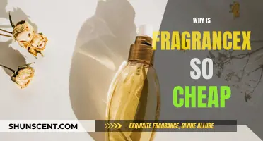 FragranceX: Cheap Scents, Real Deal?