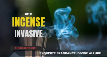 Incense: The Intrusive Scent That Invades Your Space