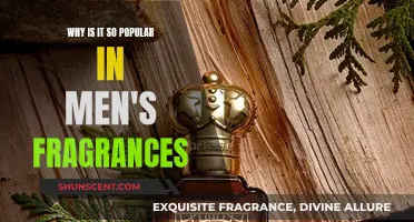 The Allure of Men's Fragrances: What's So Enticing?