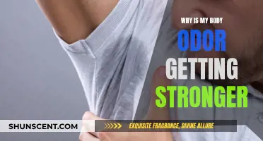 Understanding and Managing Increased Body Odor: A Comprehensive Guide