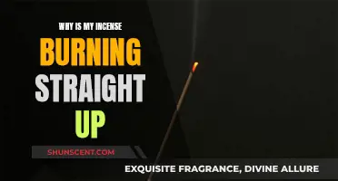 Incense Burning Straight: What Does It Mean?