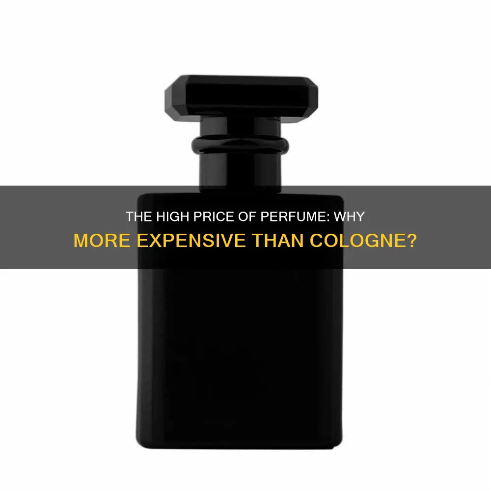 why is perfume more expensive than cologne