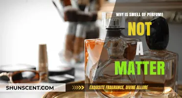 The Art of Scent: Why Perfume's Smell Doesn't Matter