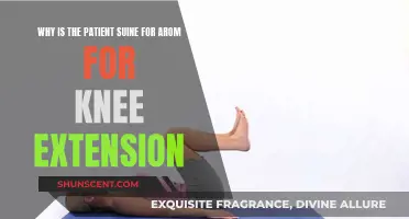 Knee Extension: Why is the Suine Patient Position Essential?