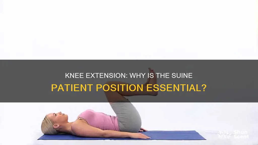 why is the patient suine for arom for knee extension