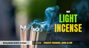 Incense: Enhancing Your Space with Aromatic Scents