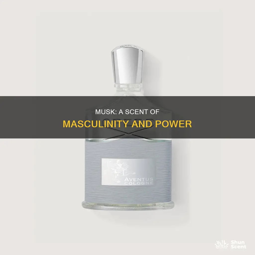 why musk fragrances are popular among men