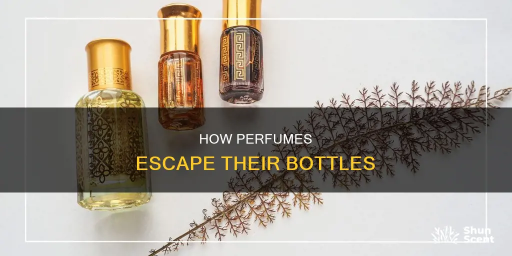 why perfume molecules come out of the bottle