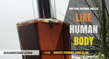 Pine Perfume: The Human Body Scent