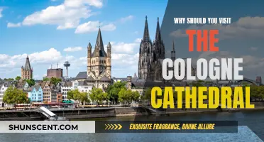 Explore the Cologne Cathedral: A Historical and Architectural Wonder