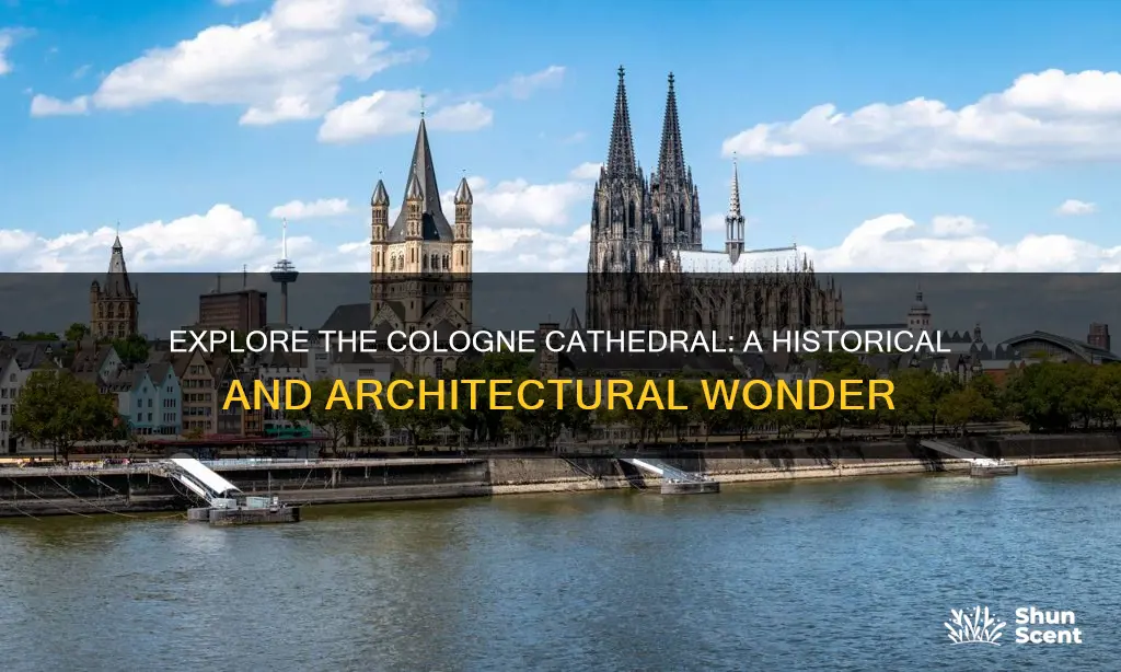 why should you visit the cologne cathedral