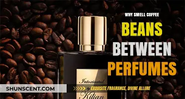 Coffee Beans: The Secret to Perfect Perfume Shopping