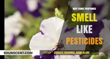 The Stink of Perfume: Why Do Some Scents Smell Toxic?