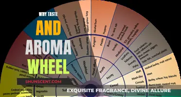 Unlocking Complex Flavors: Taste and Aroma Wheel Essentials