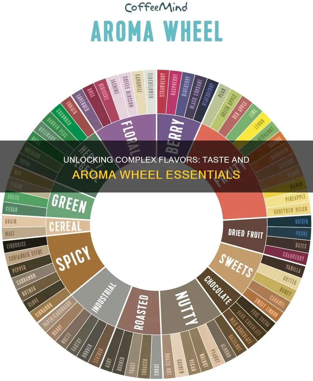 why taste and aroma wheel