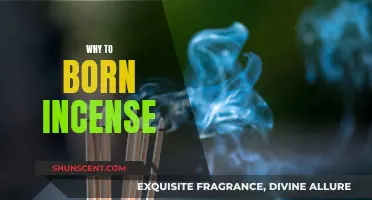 Incense: Enhancing Your Space and Mind