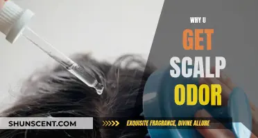 Understanding Scalp Odor: Causes and Effective Solutions