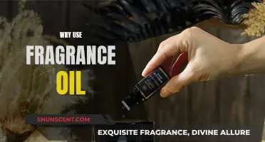 Enhance Your Space with Fragrance Oils