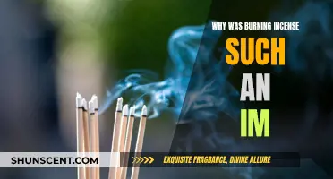 Incense Burning: Ancient Rituals, Modern Mindfulness